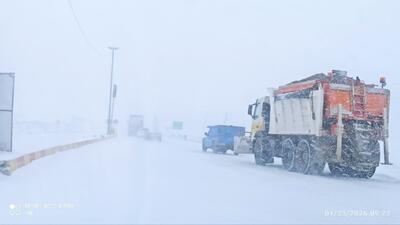 عکس: بارش زیبای برف صبحگاهی در شهر سرمست کرمانشاه