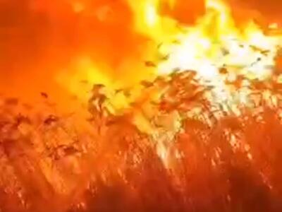 فرماندار رباط کریم: دود اطراف پرند مربوط به آتش سوزی در نیزار‌های خشک است