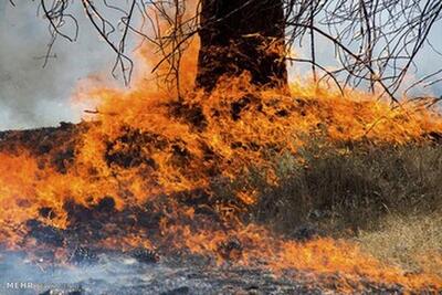 علت حریق در محدوده جنوب غرب تهران چه بود؟