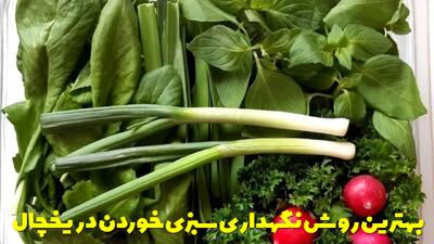  بهترین روش نگهداری سبزی خوردن در یخچال برای مدت طولانی