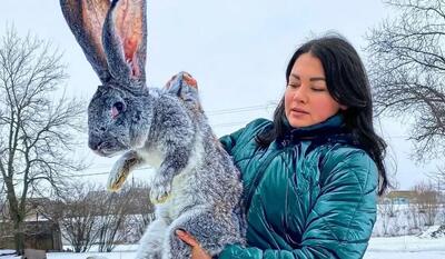  پخت غذای سنتی با خرگوش در روستایی برفی در اوکراین