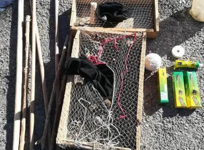  نجات سهره‌های طلایی طارم‌سفلی از دام صیادان غیرمجاز با هوشیاری محیط‌بانان