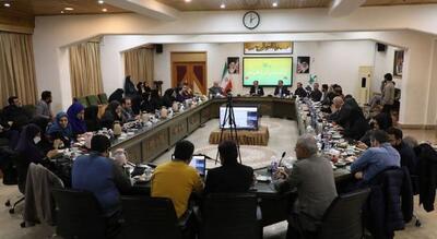 چهارمین نشست کمیته کودک و نوجوان دهه فجر برگزار شد