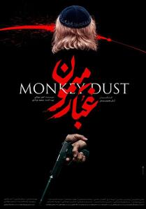 جزئیاتی از فیلم  «غبار میمون» همزمان با رونمایی از پوستر