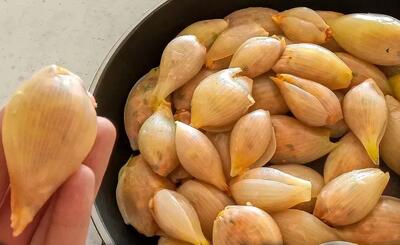  عمرا اگه این مدلی خورده باشی | طرز تهیه دلمه پیاز خوشمزه و آسان !