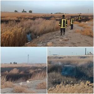 استانداری: دود سیاه در آسمان قم ناشی از سوزاندان ضایعات در حاشیه نیزار بود