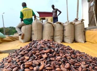 کاهش قیمت کاکائو به کمترین میزان در دو سال گذشته - اکونیوز