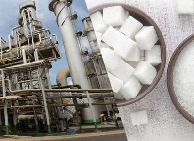 توضیحات سازمان غذا و دارو درباره تولید قند و شکر - اکونیوز