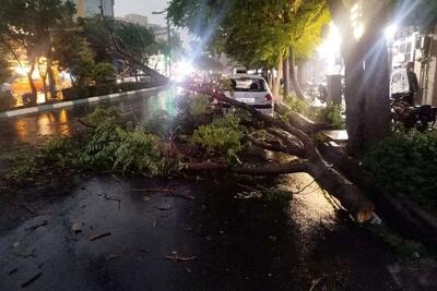 هواشناسی: هشدار نسبت به وزش باد شدید در تهران/ احتمال وقوع طوفان گرد و خاک