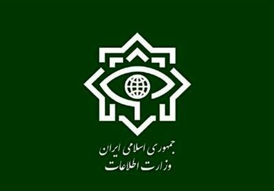 بیانیه وزارت اطلاعات درپی اقدام ضد ایرنی اروپایی ها