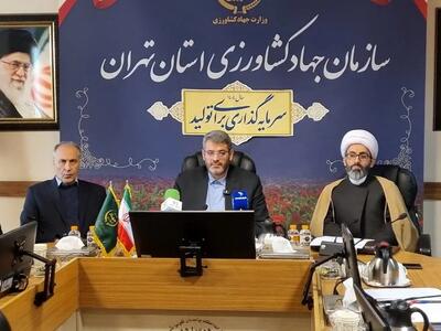  ۱۰ میلیون تهرانی، کالابرگ یک میلیونی را خرید کردند/ کمبود روغن در بازار به دلیل تقاضای انباشته‌ است