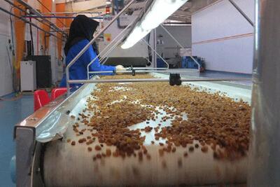  250 واحد صنایع تبدیلی در همدان در حال احداث است