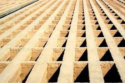 سازمان بهشت زهرا: ۵ هزار قبر برای دفن سربازان آمریکایی آماده شده است