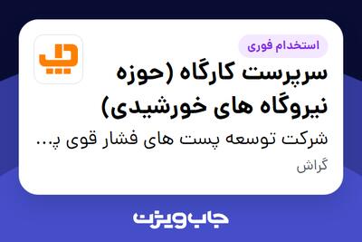  استخدام سرپرست کارگاه (حوزه نیروگاه های خورشیدی) - آقا در شرکت توسعه پست های فشار قوی پارسیان