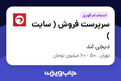 استخدام سرپرست فروش ( سایت ) در دیجی لند