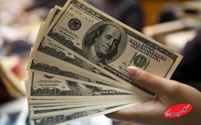  آغاز عرضه اسکناس در بانک‌ها/ خریداران ارز محتاط باشند - کلبه سرگرمی