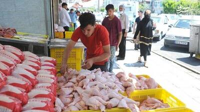 ادامه عقب نشینی قیمت مرغ در بازار