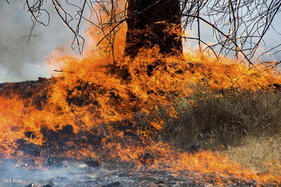 علت حریق در محدوده جنوب غرب استان تهران چه بود؟