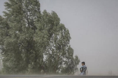 وزش باد شدید در راه پایتخت؛ مراقب سقوط اجسام و درختان باشید