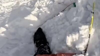  فیلم لحظه گرفتار شدن اسکی باز و سگش در بهمن