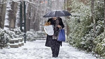 بارش گسترده باران و برف در کشور؛ هشدار زرد هواشناسی برای ۳۱ استان