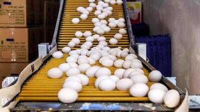 قیمت جدید تخم‌ مرغ اعلام شد