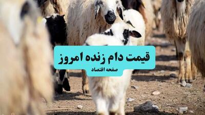قیمت دام زنده امروز شنبه ۱۱ بهمن ۱۴۰۴