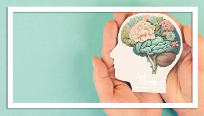 نظریه ذهن آبی درباره چیست؟