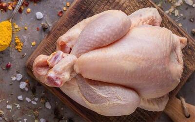 قیمت جدید انواع مرغ امروز شنبه ۱۱ بهمن ۱۴۰۴؛ فیله مرغ 549 هزار تومان!