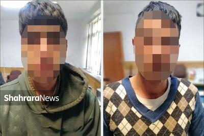 تاکسی اینترنتی، ۲ برادر را به زندان رساند!