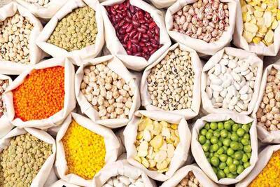 حبوبات چقدر گران شدند؟ بررسی آخرین نرخ‌ ها در بازار عمده‌ فروشی