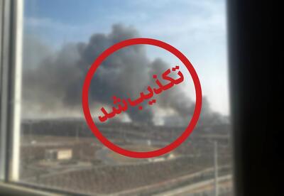  تکذیب امنیتی بودن آتش سوزی پرند / توضیح فرماندار رباط‌کریم درباره آتش‌سوزی نیزارها