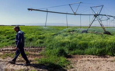  افتتاح ۴ پروژه کشاورزی و عمرانی در آبدانان با اعتبار ۸۴/۴ میلیارد ریالی