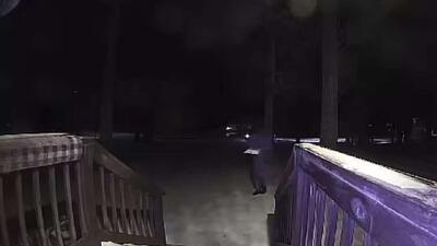  فیلمی از فرار یک کیک در یکی از ایالت‌های آمریکا