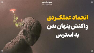 انجماد عملکردی؛ واکنش پنهان بدن به استرس