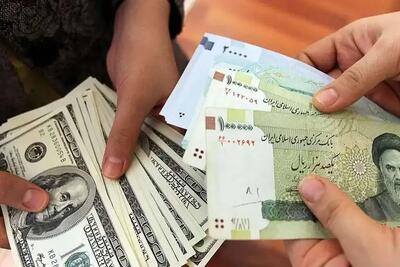 آغاز عرضه اسکناس در بانک‌ها/ خریداران ارز محتاط باشند