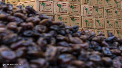 قیمت هرکیلو خرمای مضافتی به ۲۲۰ هزارتومان رسید