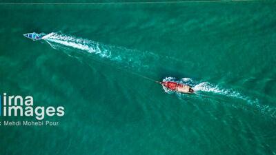  صید ماهی در خزر