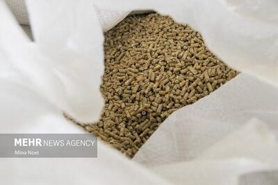 تخصیص ۷۰ همت برای تأمین سرمایه در گردش دامداران و مرغداران: حمایت از تولیدکنندگان / ۷۰ همت برای کمک به دامداران و مرغداران: تأمین سرمایه در گردش برای تقویت تولید