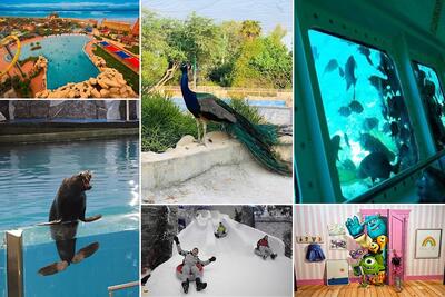  تفریحات خانوادگی کیش - 5 تفریح مناسب تمام افراد خانواده