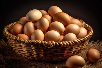  تخم‌مرغ ارزان‌تر شد! قیمت جدید هر شانه تخم‌مرغ