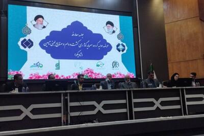 «تادیکو» به زودی عرضه اولیه می شود