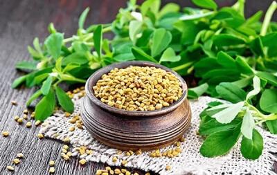  آیا شنبلیله زیاد خورش را تلخ می کند؟ بررسی تاثیر مقدار شنبلیله بر طعم خورش