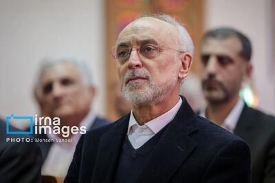 پیشنهاد علی اکبر صالحی برای شکستن بن بست مذاکرات ایران و آمریکا/با توجه به تحولات یکی دو روز اخیر جای امیدواری بیشتر شده است