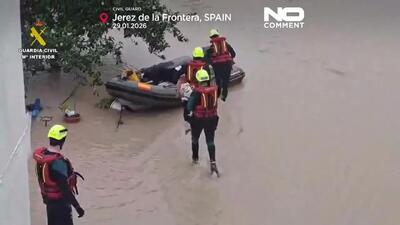  نجات گربه‌ها و سگ‌ها پس از سیل در جنوب اسپانیا