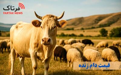 قیمت دام زنده امروز یکشنبه ۱۲ بهمن ۱۴۰۴ + جدول