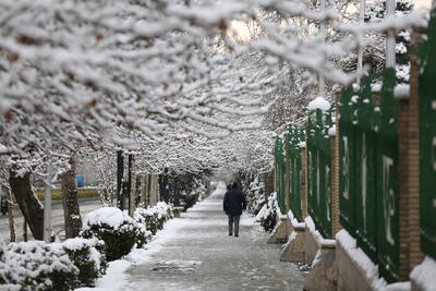 برف و باران و سرمای شدید در راه این استان‌ها | هشدار برای ۳ روز آینده صادر شد