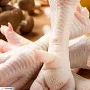  پای مرغ را بخوریم یا نه؟