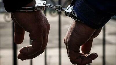  انهدام باند سازمان‌یافته قاچاق سلاح در غرب کشور