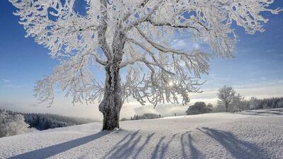 افزایش دمای کشور طی امروز و فردا/ بارش باران و برف از سه‌شنبه